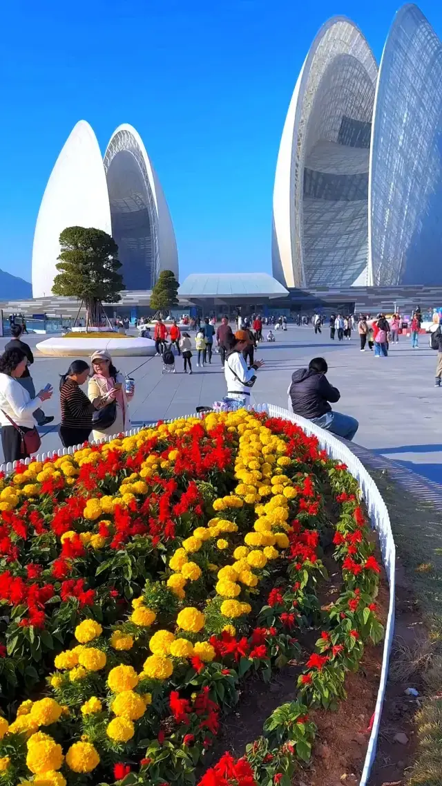 Winter Sunshine Zhuhai Trip