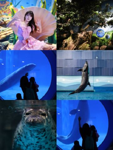 Year of the Horse Blessings for a Joyful New Year: Linyi Qiyang Polar Ocean Kingdom is Full of Festive Cheer