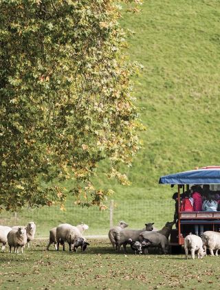 Just returned to China! Rotorua, New Zealand has such lasting charm!!