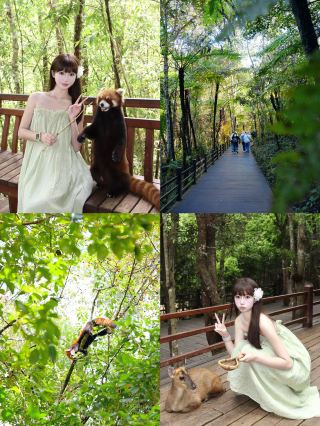 ฉันได้รับการเยียวยาอย่างลึกซึ้งจากป่าต้นผู่เอ๋อร์