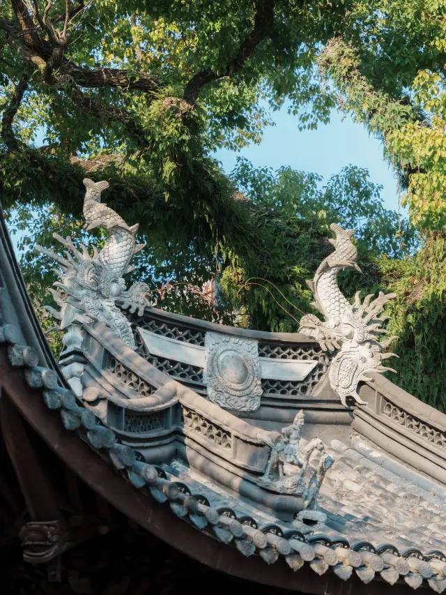 「ไถโจว|วิธีเที่ยวที่คุ้มค่ามาก สนุกสุดๆ」