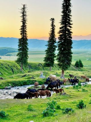 48h Prairie Adventure｜Being a Mongolian Girl in Xilamuren