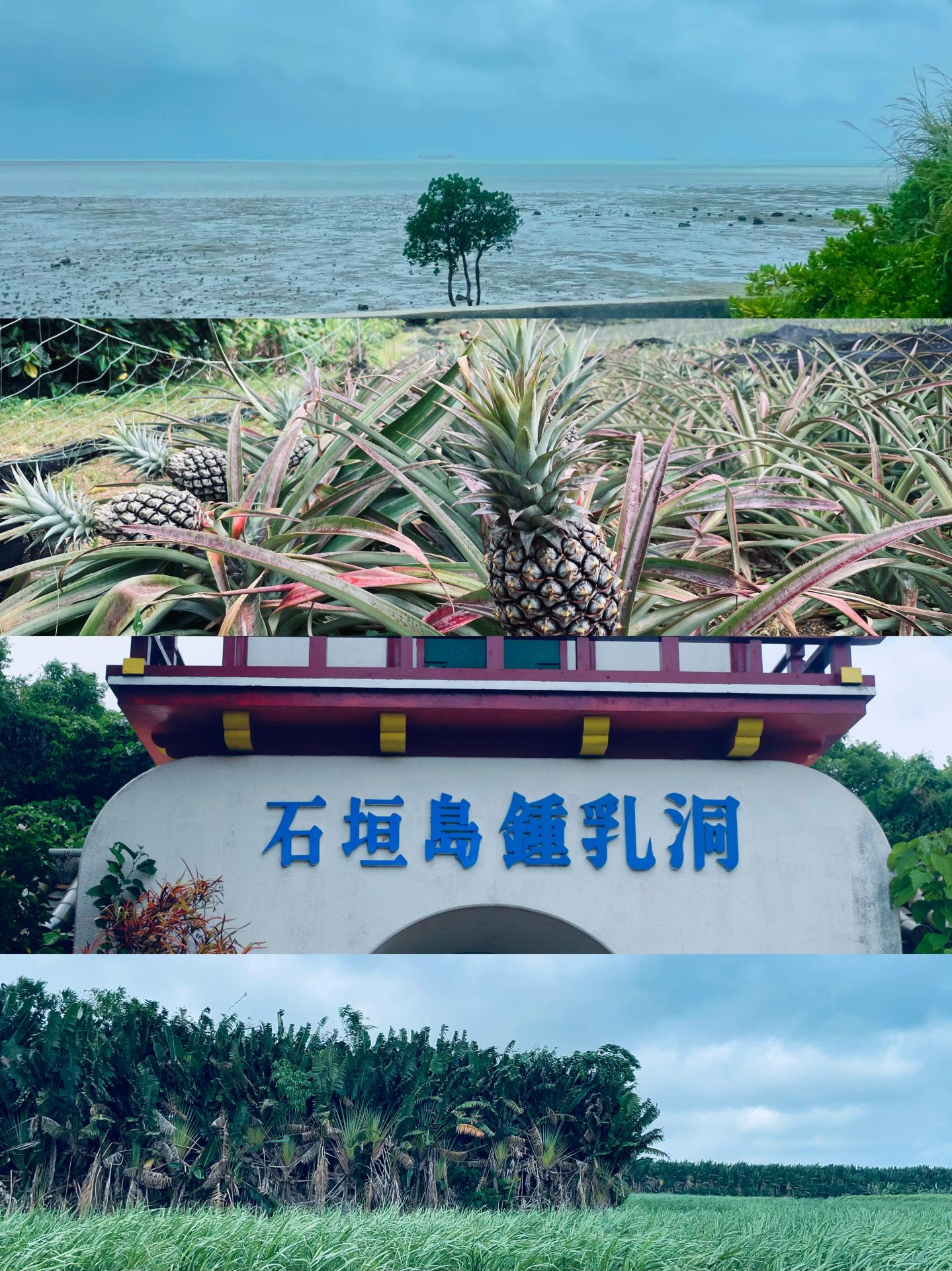Uncover true pros and cons of Ishigaki cave scenery
