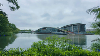 Hidden Gem in Shanghai: The Healing Experience of Qingpu Xiayang Lake