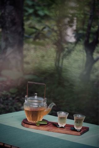 景邁柏聯｜茶林自然療癒