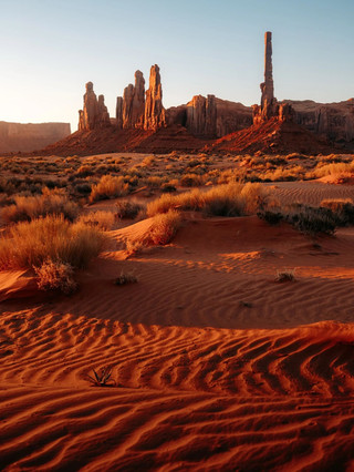 7-day ultimate USA guide to start your trip right away