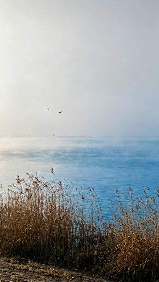 Don’t wander aimlessly around Dongting Lake｜Locals’ hidden lakeside spots are truly amazing