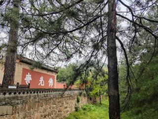 Known as the No. 1 national treasure of ancient Chinese architecture! A super detailed guide to Foguang Temple on Mount Wutai