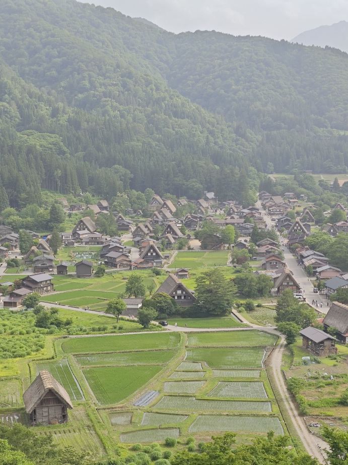 日本6日間旅行ガイド：手間いらずで満喫、失敗なしの旅 | Trip.com 犬山