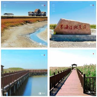 Panjin Reed Sea: A Slow Day in One of China’s Most Beautiful Wetlands
