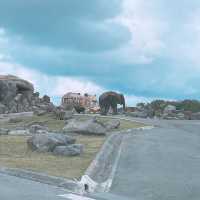 九州 ｜自駕遊亞洲版Safari 🐅🐆🦓🐘🦬🐫🐑