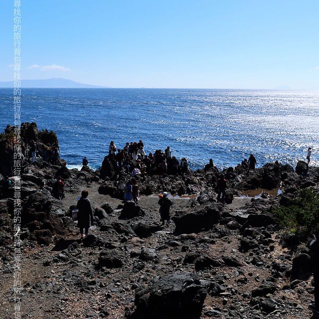 東伊豆「城崎海岸」 飽覽太平洋海岸線 +櫻花 +日本自然景觀