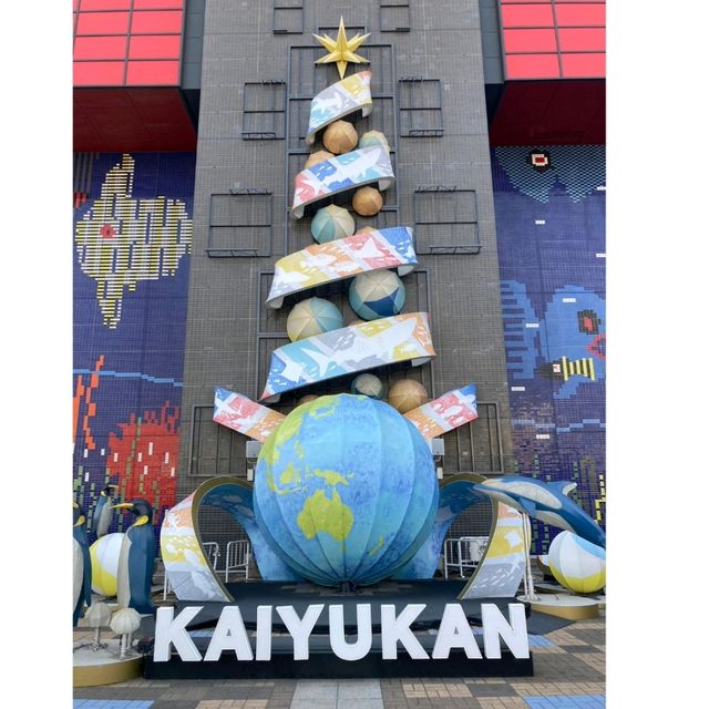 海遊館　「北極圏」来場者を覗きにくるワモンアザラシ
