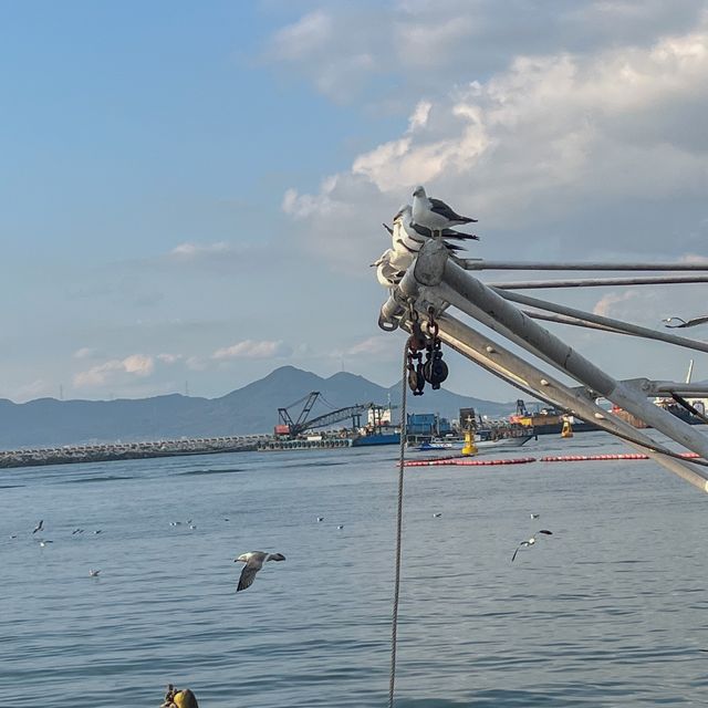 해질녘 윤슬이 특히 예쁜 충청도 대표 바다 🌊