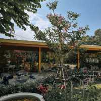 horme cafe คาเฟ่น่ารักนนทบุรีน้องหมาเข้าได้