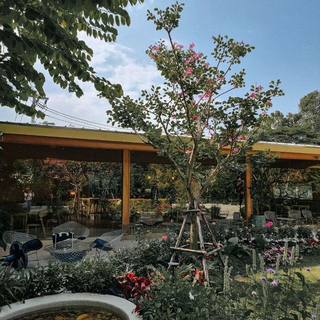 horme cafe คาเฟ่น่ารักนนทบุรีน้องหมาเข้าได้