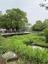 🦜香港濕地公園半天遊推薦