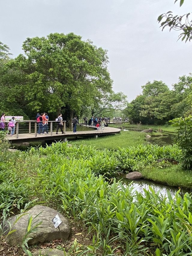 🦜香港濕地公園半天遊推薦