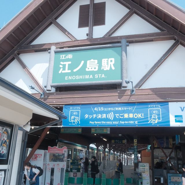 遊日必錯過@鎌倉繡球花