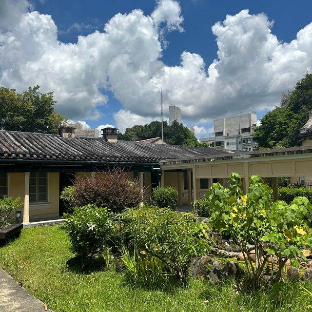 綠匯學苑文青遊｜大埔