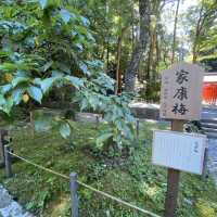 【静岡】久能山東照宮