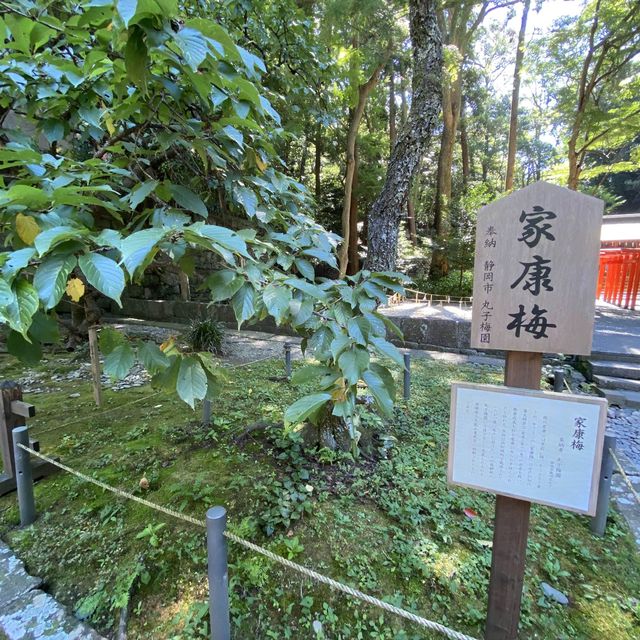 【静岡】久能山東照宮