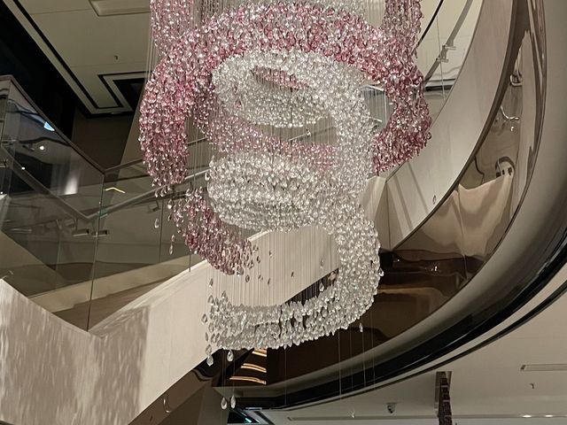 JW Marriott에서 즐기는 뷔페 “TAVOLO 24”🥩