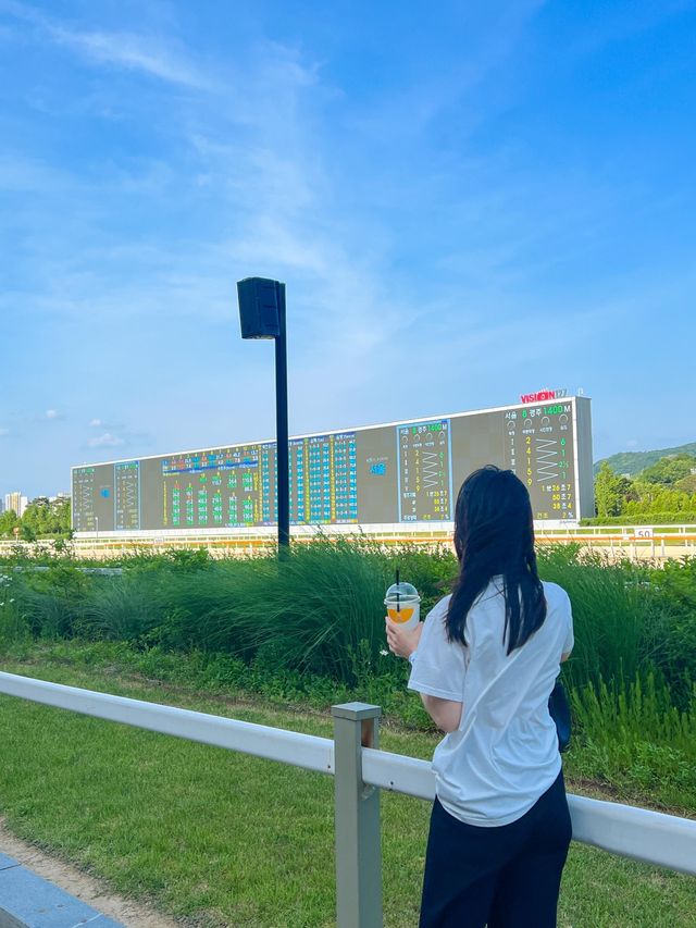 이색적인 경험을 즐기고 싶다면 렛츠런파크🏇
