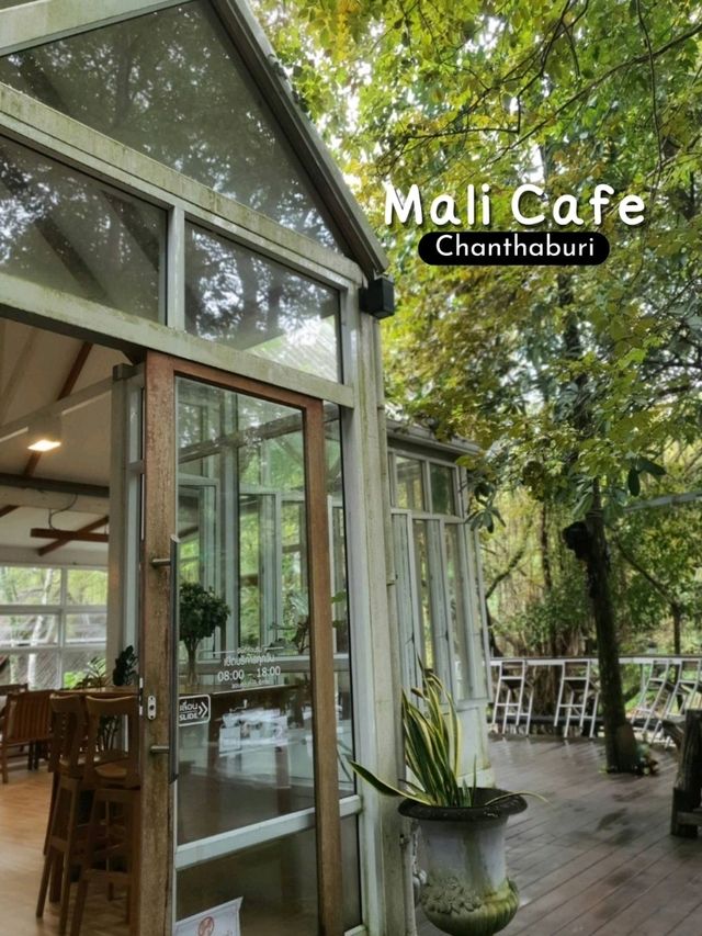 Mali Cafe 🌱🏠