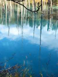 【北海道観光】1度は見てみたい神秘的な青🩵