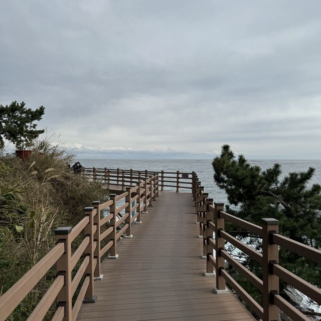 속초 나만 알고싶은 둘레길코스, 바다향기로