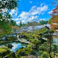 Saimyoji Serenity: Autumn's Radiance Revealed