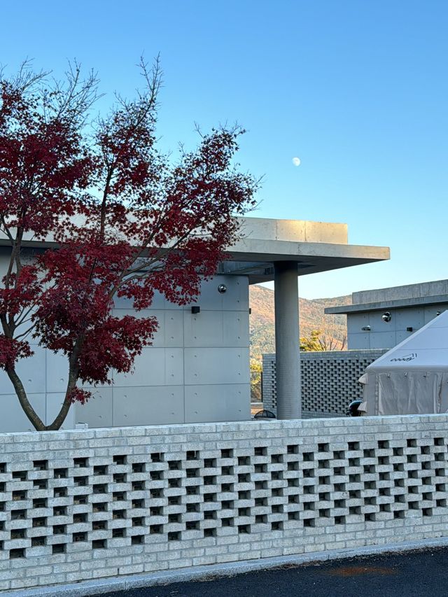 여기 가면 숙소 취향 차이로 싸울 일 없음!