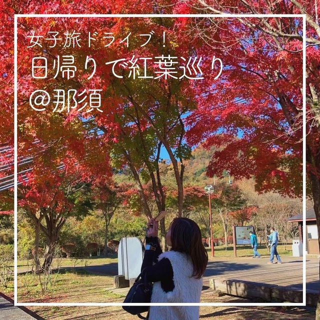 【女子旅ドライブ🍁日帰りで紅葉巡り＠那須】