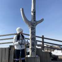 제주도 한라산 백록담 눈쌓인 설산 보고왔어요
