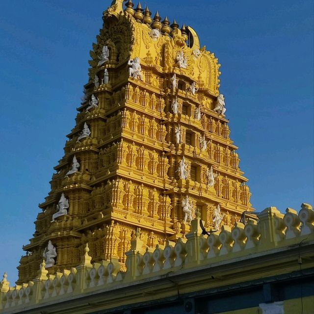 Mysore 