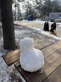 눈썰매 타며 동심으로 돌아가는 경기 양주 눈꽃축제 나들이❄️