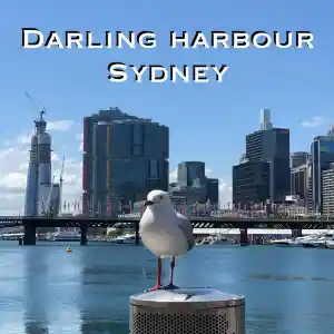 เดินเล่นที่ท่าเรือที่รัก Darling Harbour ❤️