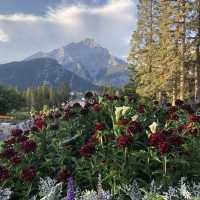 カナダ：バンフ（Banff）　〜①魅力編〜