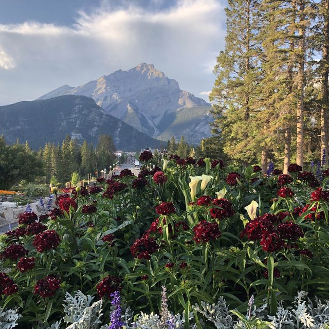 カナダ：バンフ（Banff）　〜①魅力編〜