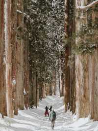 Togakushi Shrine, Nagano Japan ❄️❄️❄️