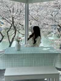 석촌호수 벚꽃 포토존 위치:: 문화실험공간호수🌸
