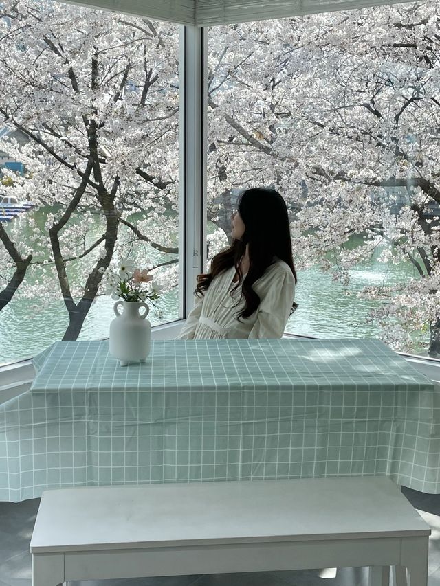 석촌호수 벚꽃 포토존 위치:: 문화실험공간호수🌸