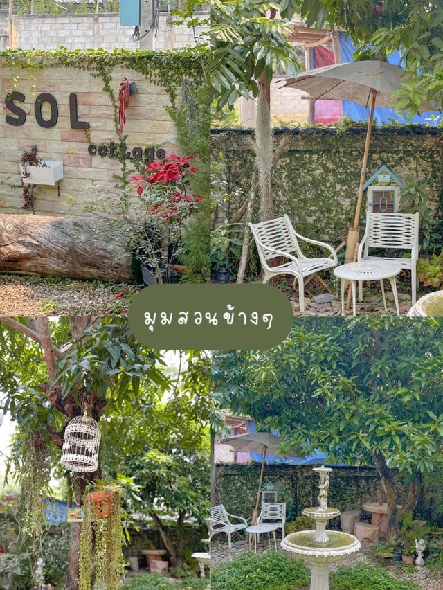 🌵 คาเฟ่แพร่ ฟีลนั่งเล่นที่สวนหลังบ้าน ☺️