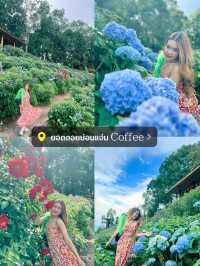 ✨ แจกพิกัด 9 โลเด็ด ถ่ายรูปปังในเชียงใหม่ 📸
