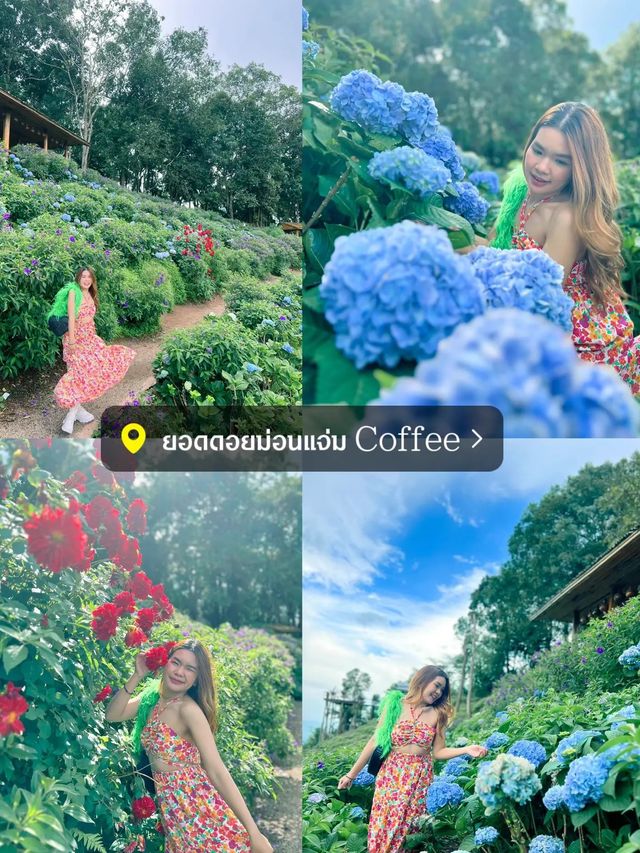 ✨ แจกพิกัด 9 โลเด็ด ถ่ายรูปปังในเชียงใหม่ 📸