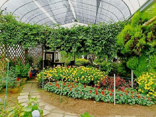 Experience to the Butterfly Farm