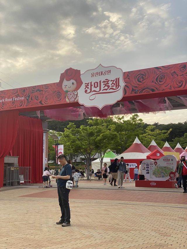 장미꽃 향기만 남기고 갔단다🌹🌷