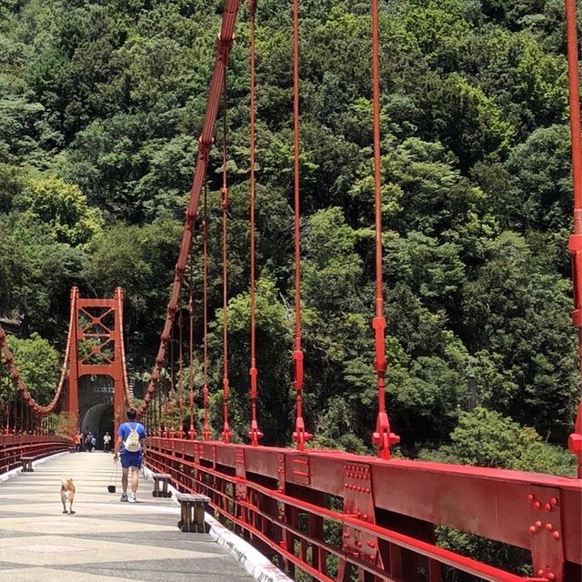 老巴陵橋☀️