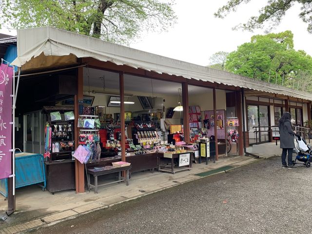 熊本　熊本観光　熊本の癒しスポット水前寺成趣園に行ってきた！